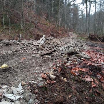 Gozdovi na kamniškem v tednu gozdov 2023 - Gozd prihodnosti (6)